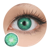 Urban Layer Amazon Green